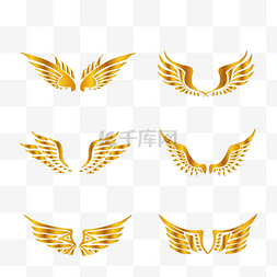 金色纹理翅膀组图片