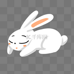 白色的小兔子图片_睡觉的动物白兔