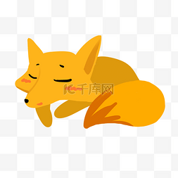 黄色的狐狸图片_睡觉的动物狐狸