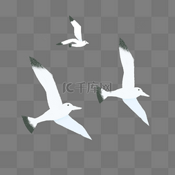 插画海鸥图片_白色飞翔的海鸥元素