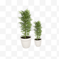 立体植物两盆栽C4D插图