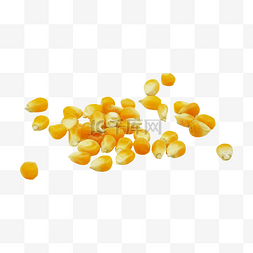 水果玉米黄玉米