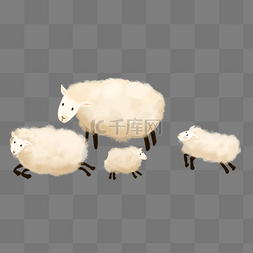 绵羊羊群