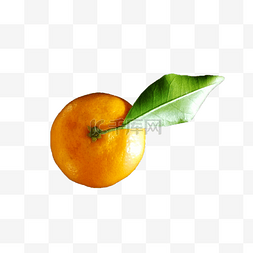 甘甜的水果图片_带绿叶的新鲜橘子