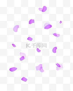 紫色花瓣漂浮