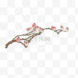 春暖花开粉色图片_春暖花开工笔画