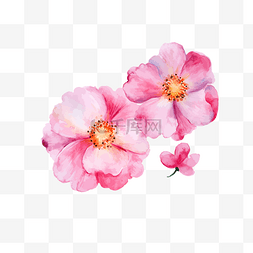 手绘粉色花瓣图片_水彩风红色花瓣花朵矢量图