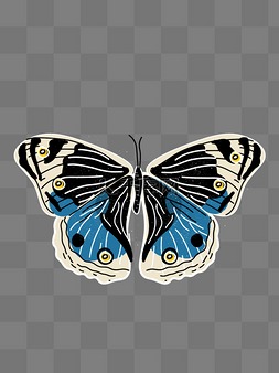 蓝色蝴蝶标本扁平矢量图