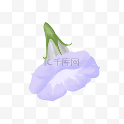 盛开的花朵免抠图