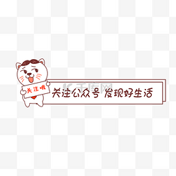 微信公众号猫咪关注哦