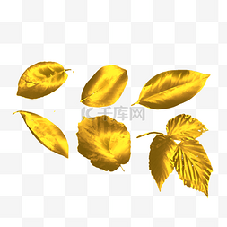 铂金树叶叶子