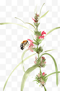 植物与蜜蜂