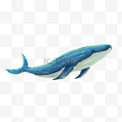 命中的鲸鱼图片_鲸鱼动物蓝鲸