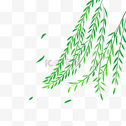 绿色植物免抠素材图片_绿色植物叶子手绘柳条透明底免抠