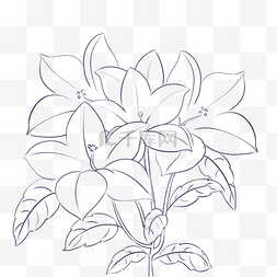 线描花草鸡蛋花