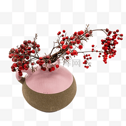花冬图片_干花圣诞冬青果红色果子装饰物品
