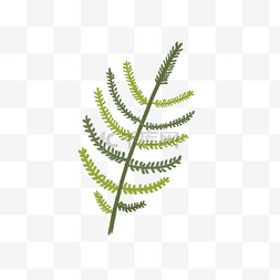 单片叶子元素图片_手绘热带植物叶子绿植矢量图PNG图