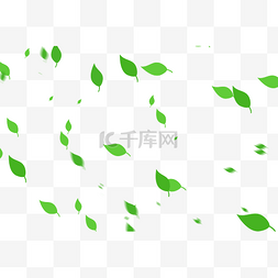 漂浮绿叶树叶