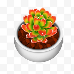 矢量手绘多肉植物插画