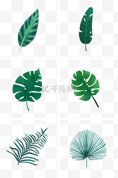各种绿色叶子组图PNG免抠素材