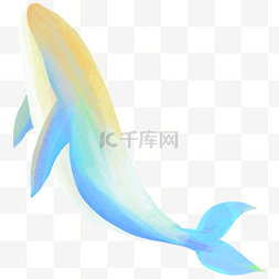 鲸鱼与少年图片_彩色鲸鱼