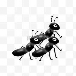 动图蚂蚁图片_大蚂蚁黑蚂蚁