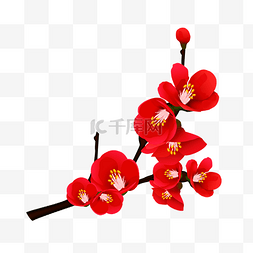 手绘开放的花朵图片_开花的红色海棠花