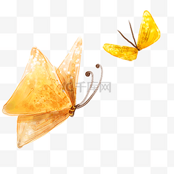两只蝴蝶花纹图片_两只黄色卡通蝴蝶