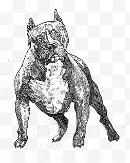 黑白线条手绘小狗装饰图