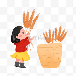 女孩抱着麦子收麦子素材