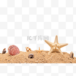 沙滩元素图片_沙滩贝壳海星