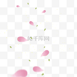 飘落的粉色花瓣图片_飘落的粉色花瓣