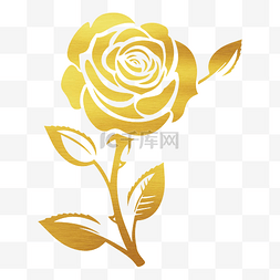 白玫瑰满天星图片_情人节爱情烫金玫瑰