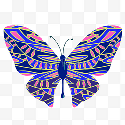 生物蝴蝶蓝色标本