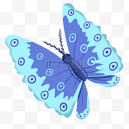 精美的蓝色蝴蝶插画