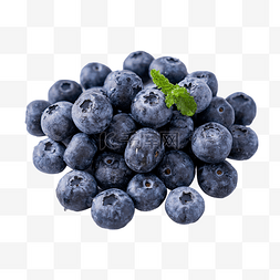 蓝莓图片_蓝莓水果