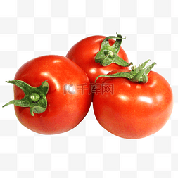 图片_蔬菜西红柿