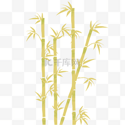 绿植竹子纹理