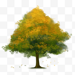 手绘水彩秋天图片_手绘水彩绿色楸树