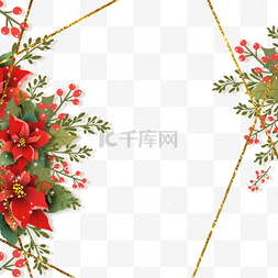 christmas poinsettia圣诞花金线边框