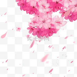 樱花手绘撒花花瓣