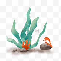 矢量海藻植物元素插画