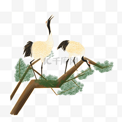 中国古典仙鹤白鹤松树