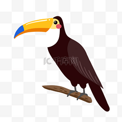 热带丛林大嘴鸟PNG免抠素材