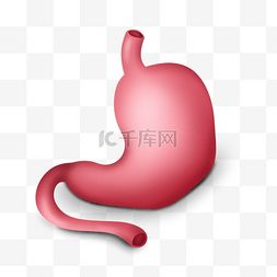 红色胃部器官插画