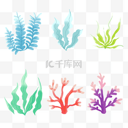 海底植物植物图片_海底珊瑚海藻