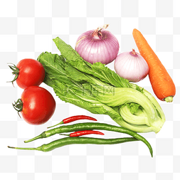 植物番茄图片_番茄芹菜辣椒青椒萝卜洋葱