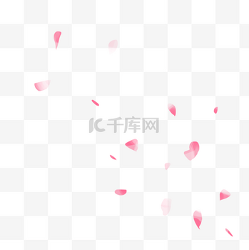 春天粉色桃花花瓣春分