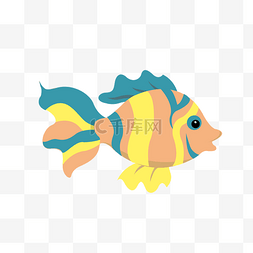 一条金鱼图片_一条彩色金鱼