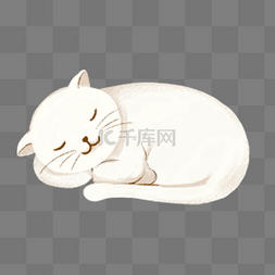 白色睡觉的猫
